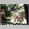068 Melocoton.html